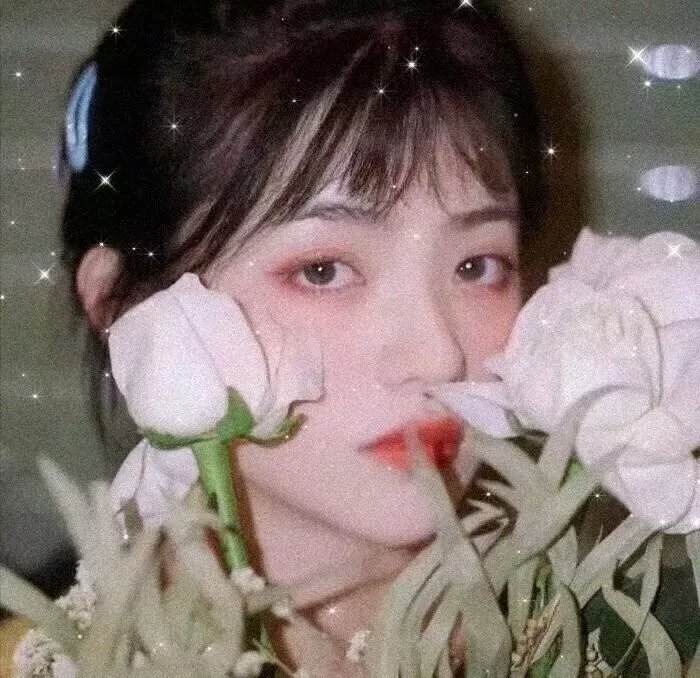 疯子的故事