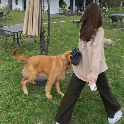 那个静默的阳光午后
