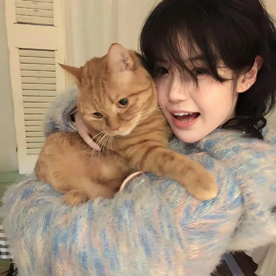 猫和老鼠50周年纪念版